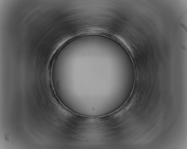 X0000091910835200709051210