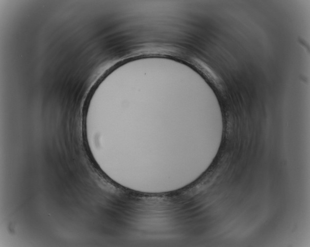 X0000091910836200709051210