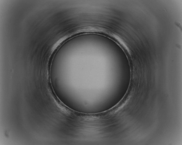X0000091910837200709051210
