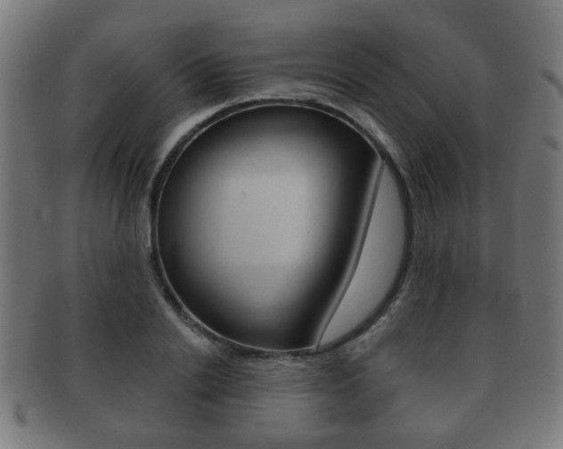 X0000091910838200709051210