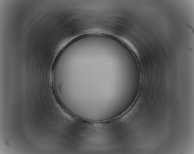 X0000091910839200709051210