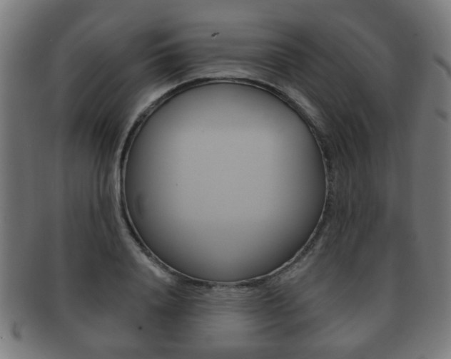X0000091910840200709051210