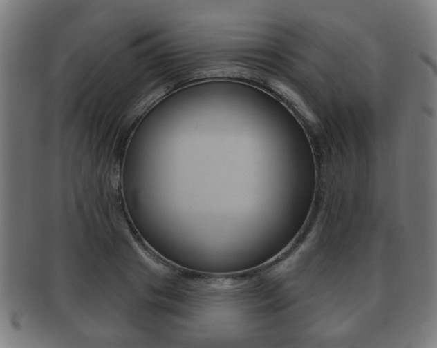 X0000091910841200709051210