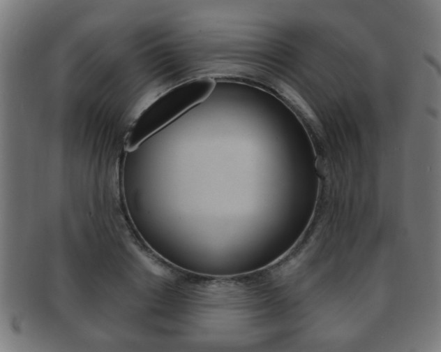 X0000091910842200709051210