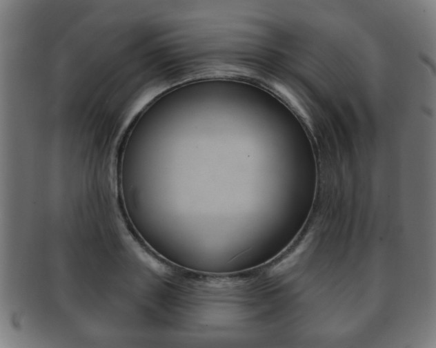 X0000091910843200709051210
