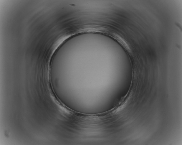 X0000091910844200709051210