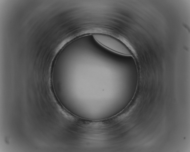 X0000091910845200709051210