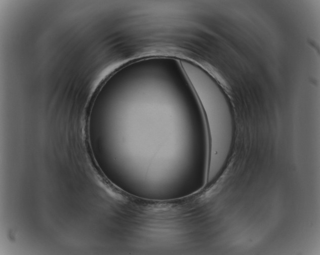 X0000091910846200709051210