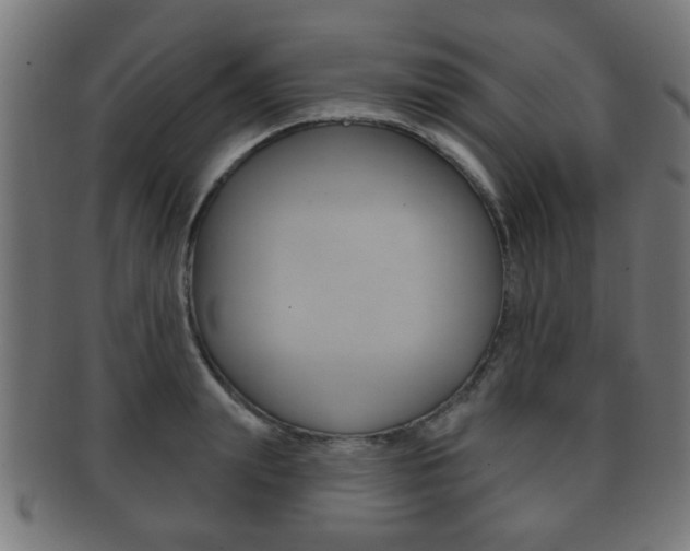 X0000091910847200709051210