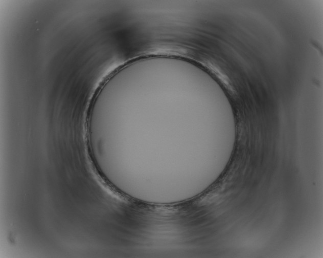 X0000091910848200709051210