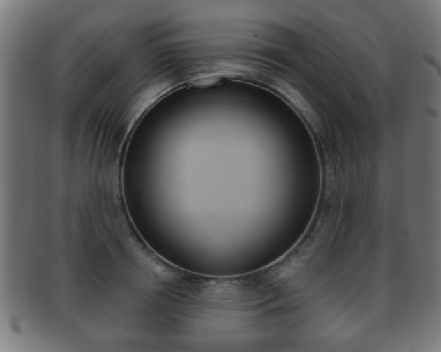 X0000091910850200709051210