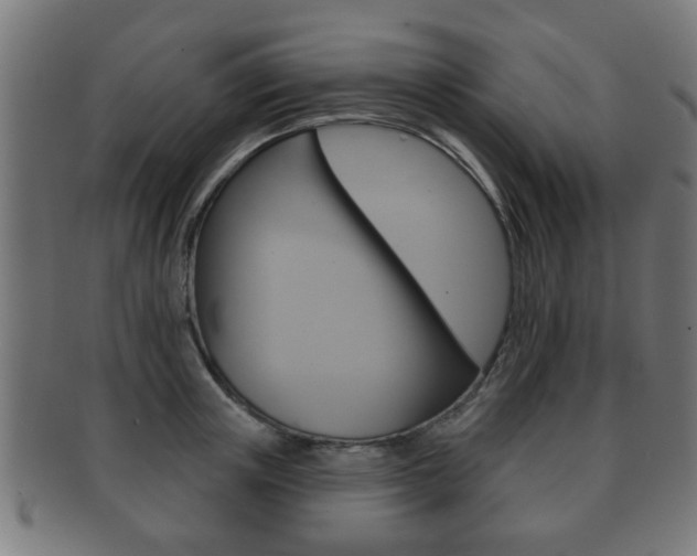 X0000091910851200709051210