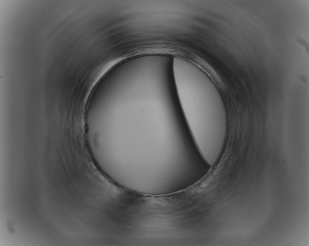 X0000091910852200709051210