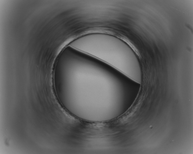 X0000091910853200709051210