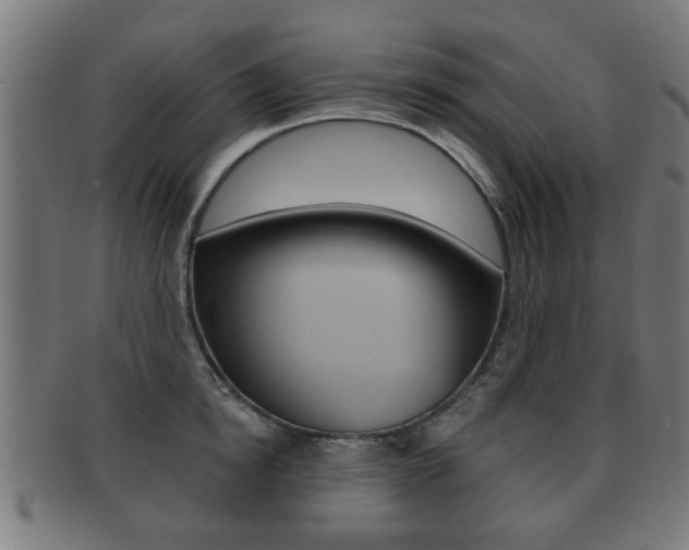 X0000091910854200709051210