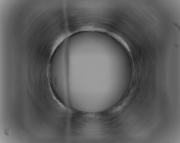 X0000091910855200709051210