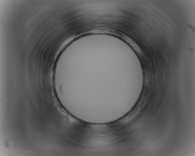 X0000091910856200709051210