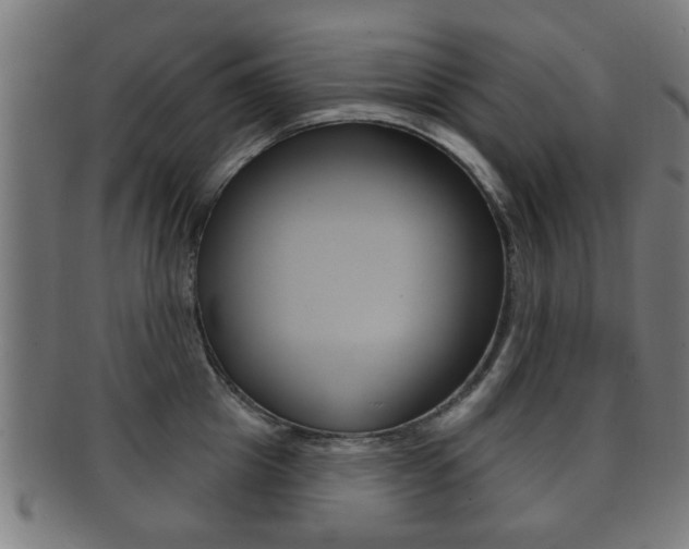 X0000091910857200709051210