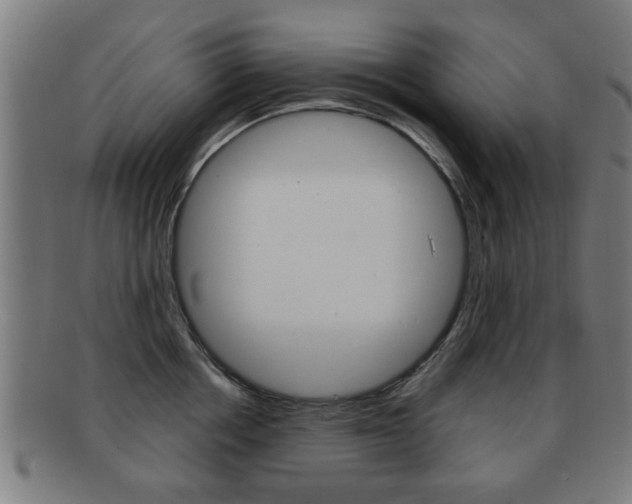 X0000091910858200709051210