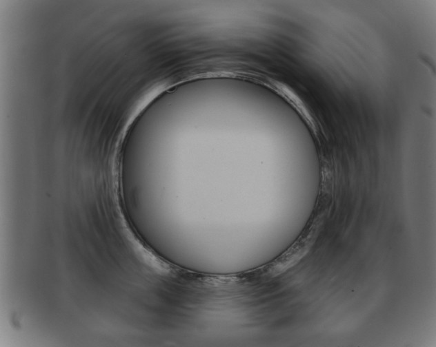 X0000091910859200709051210
