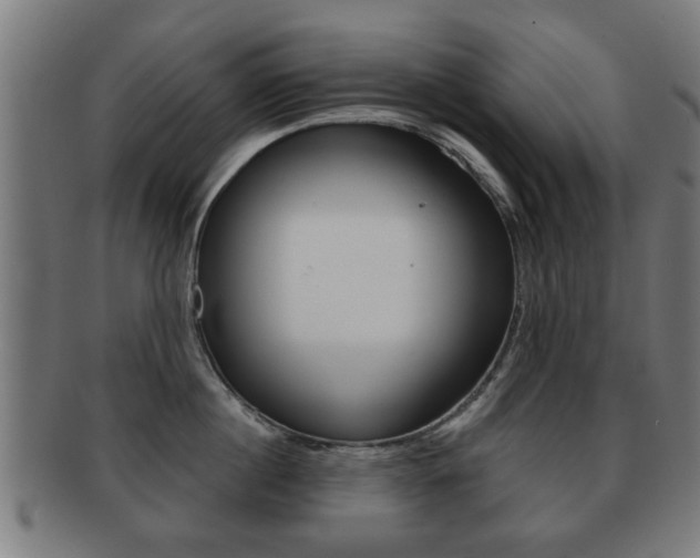 X0000091910860200709051210
