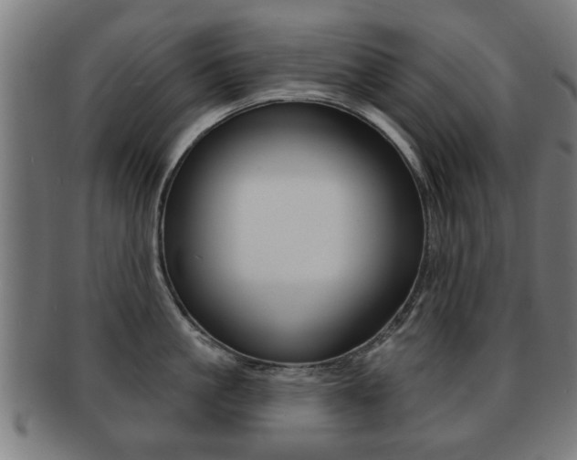 X0000091910861200709051210