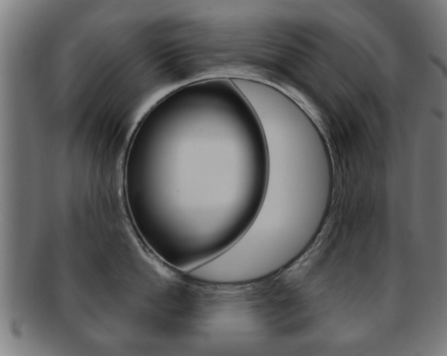 X0000091910862200709051210
