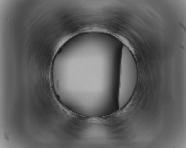 X0000091910863200709051210