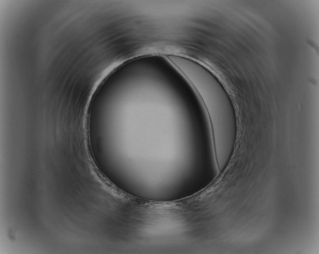 X0000091910864200709051210