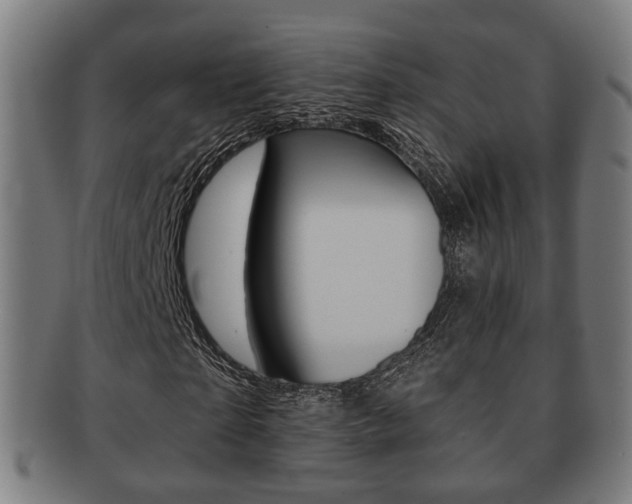 X0000091910865200709051209