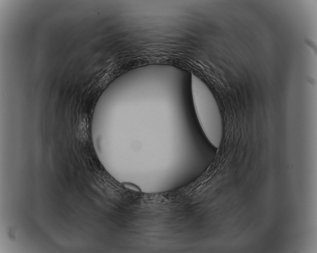 X0000091910866200709051209