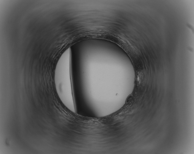 X0000091910867200709051209