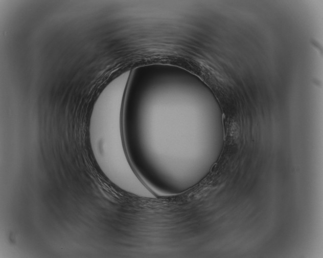 X0000091910868200709051209