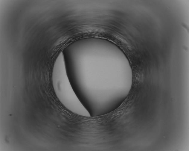 X0000091910869200709051209