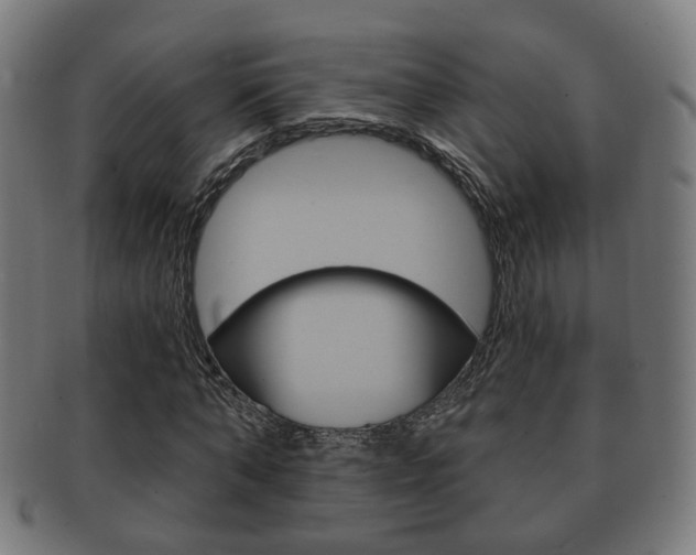 X0000091910870200709051209