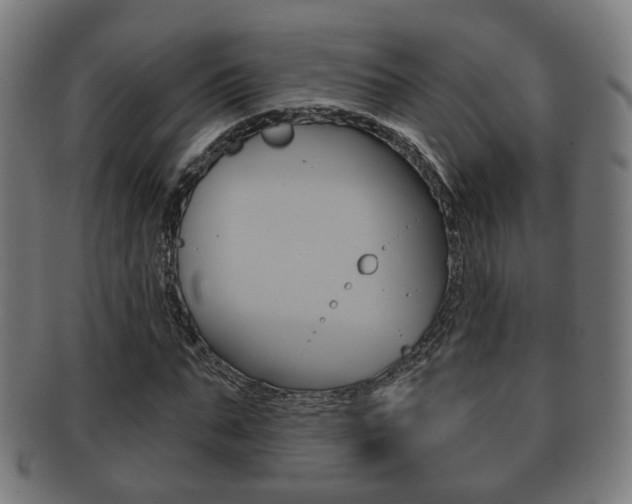 X0000091910871200709051209