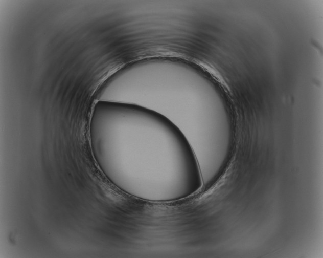 X0000091910873200709051209