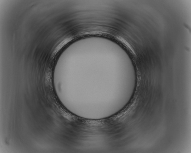 X0000091910874200709051209