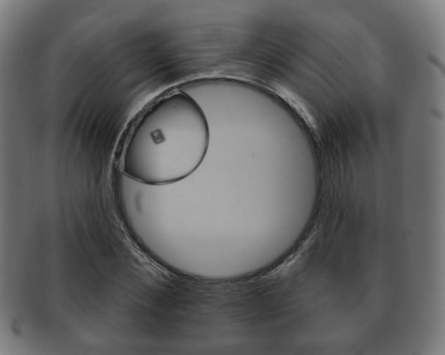 X0000091910876200709051209