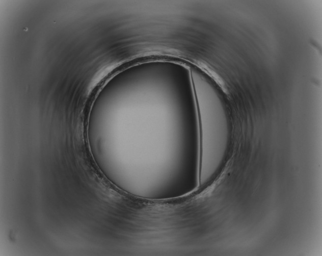 X0000091910877200709051209
