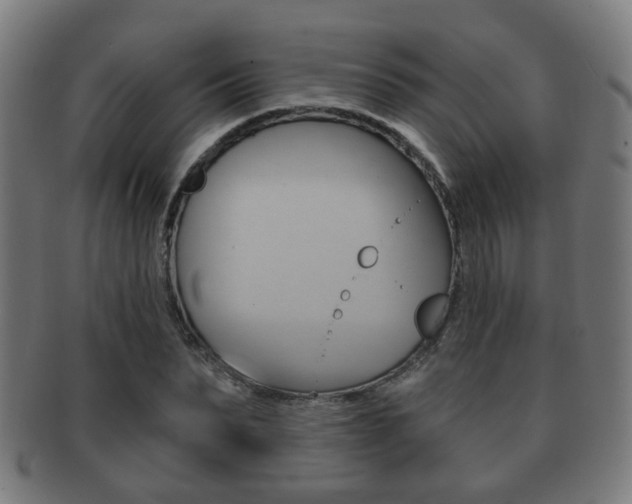 X0000091910879200709051209