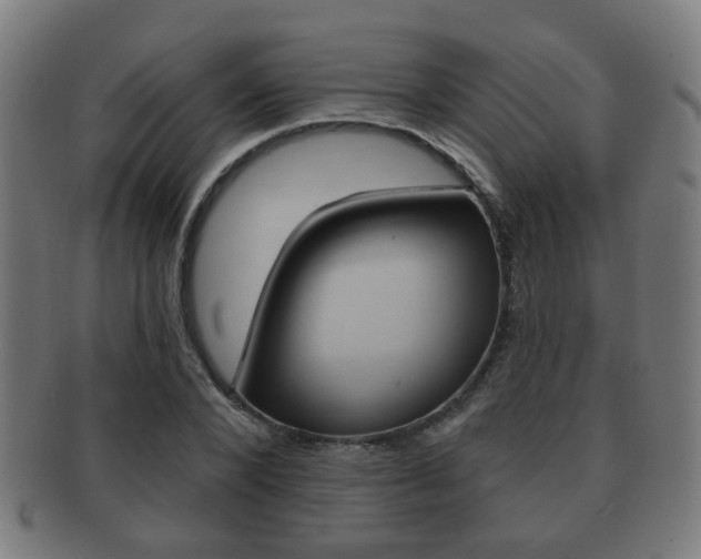 X0000091910880200709051209
