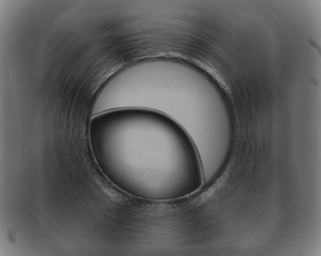 X0000091910881200709051209