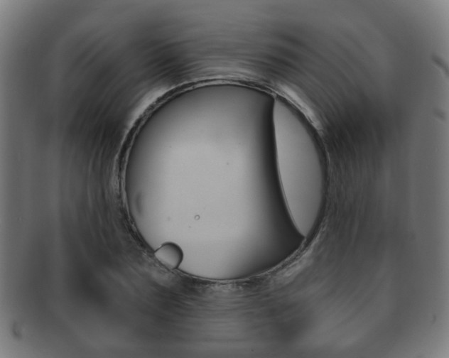X0000091910883200709051209