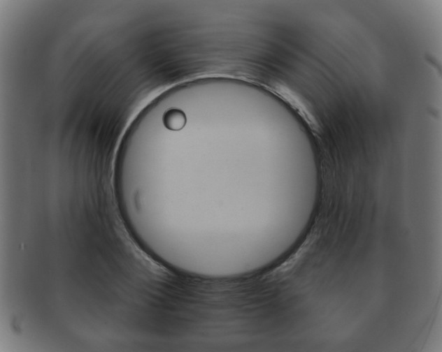 X0000091910884200709051209