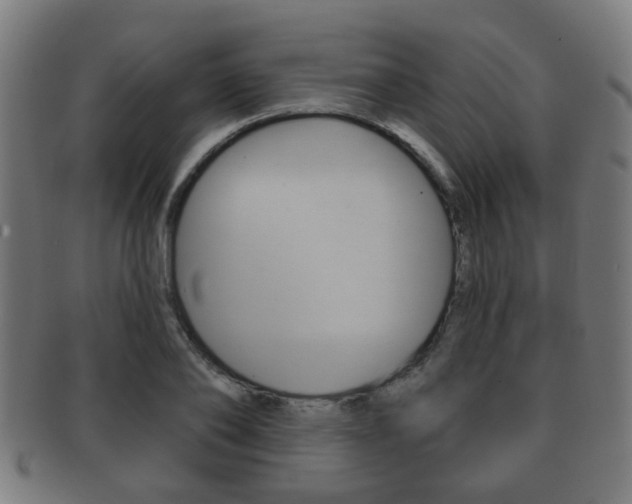 X0000091910886200709051209