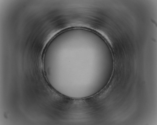 X0000091910887200709051209