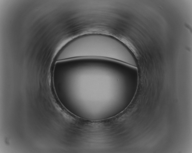 X0000091910888200709051209