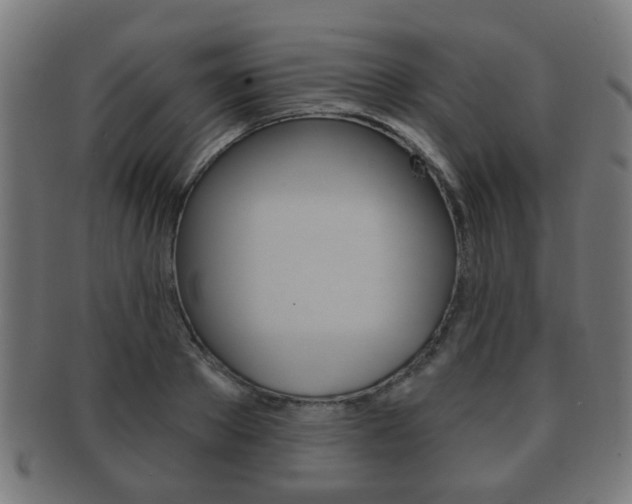X0000091910889200709051209
