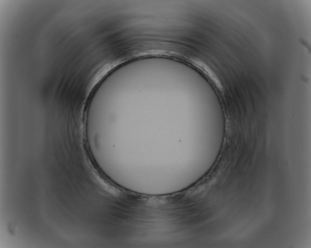 X0000091910890200709051209